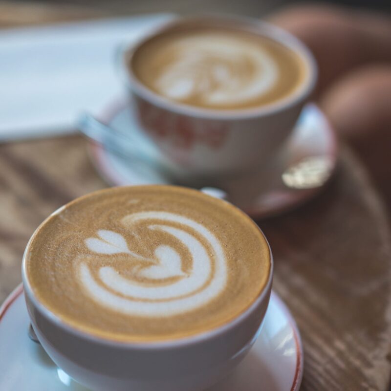 kalverliefde horeca kalf bij koe