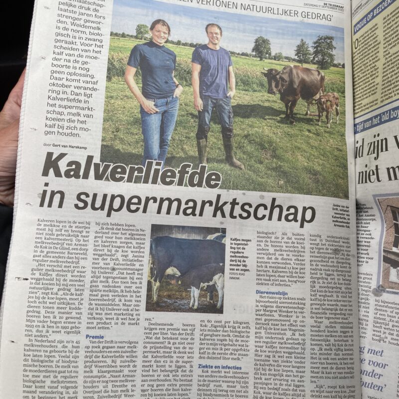 telegraaf artikel