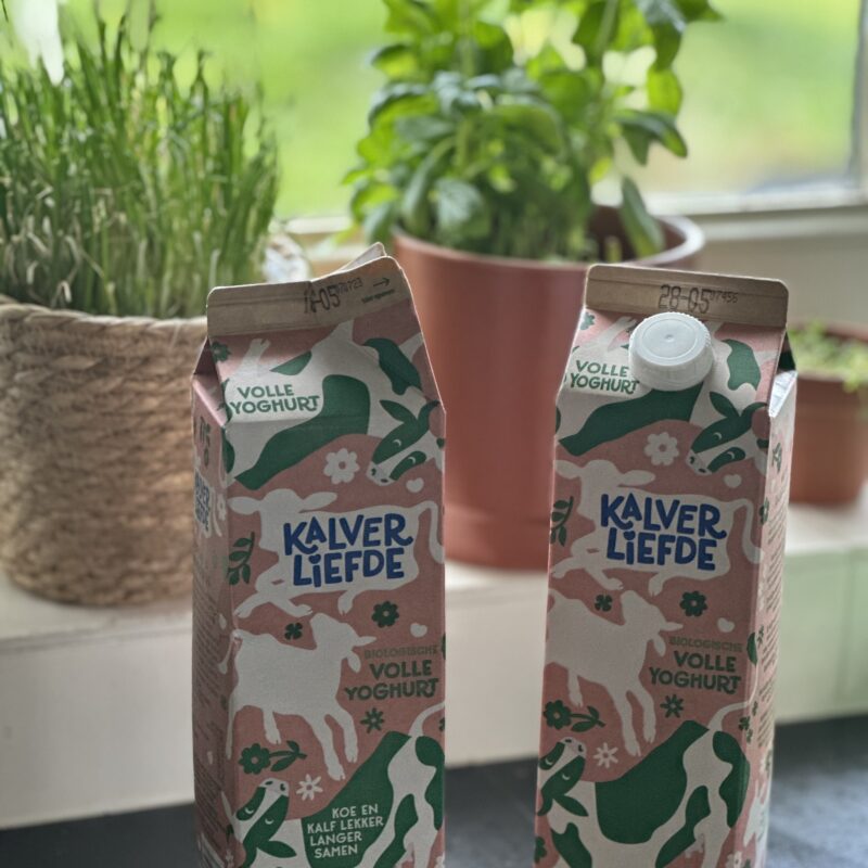 yoghurt met dop